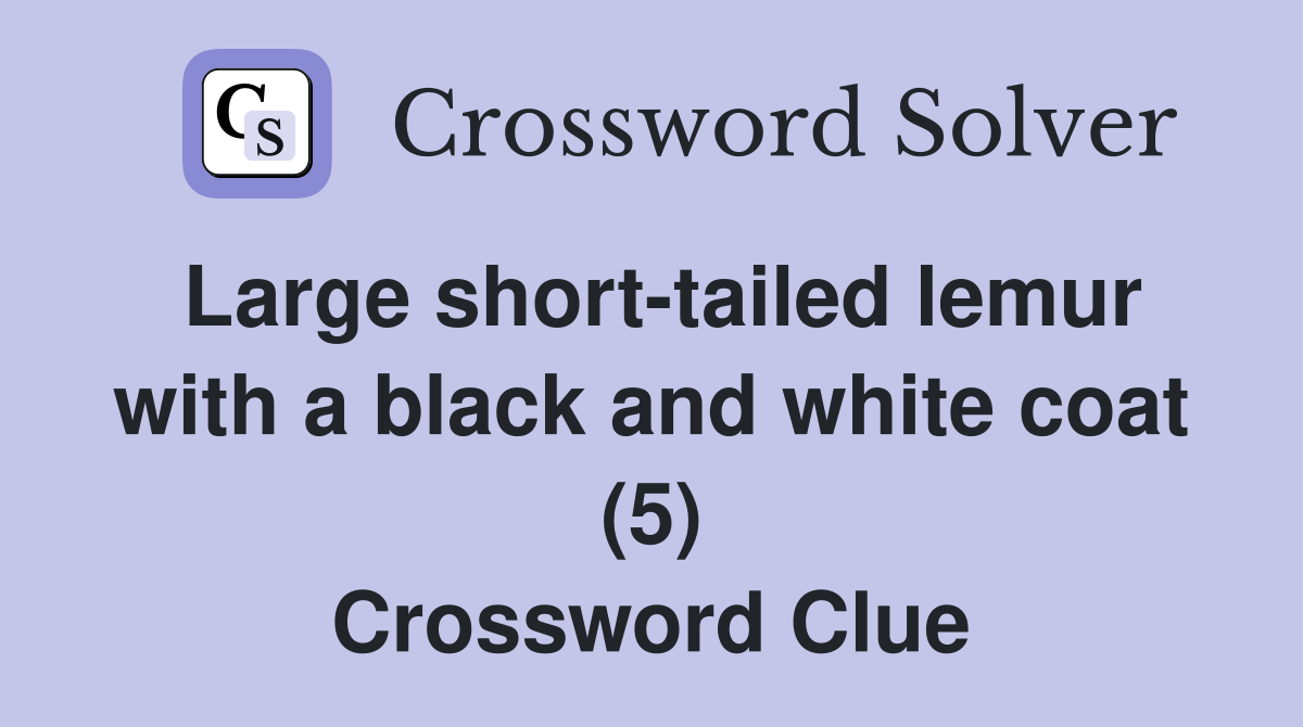 Large shorttailed lemur with a black and white coat (5) Crossword